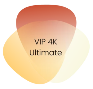 This image has an empty alt attribute; its file name is vip.webp